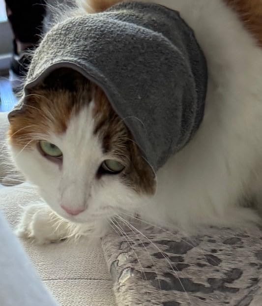 Pet Hoodz for Cats, Anxiety, Grooming, Ear Muffs, Cat Ear Protection, Calming, Ear Compression, Pet Hoodie, Cat Hoodie, Soft-Expandable Fabric for Cats, (Blue, LRG)