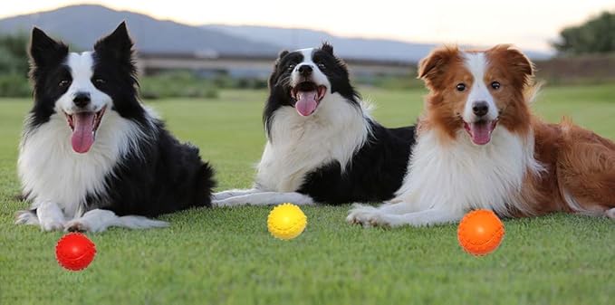 Rubber Dog Chewing Squeaky Ball Toys Fetch Play Toy for Puppy Small Medium Pets Dog Cat Pack of 3