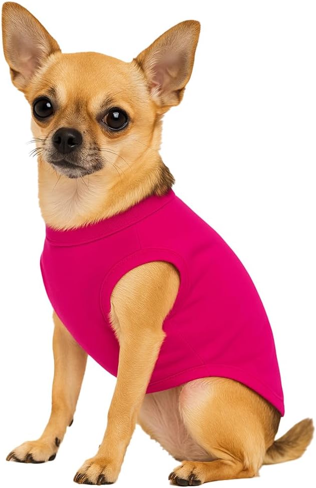 Aunties Bestie Dog Tee Shirt | Sleeveless Breeds | Mother's Day | Aunt Gift | Best Auntie & Sister | Valentine's Day |Hot Pink, Small 1360