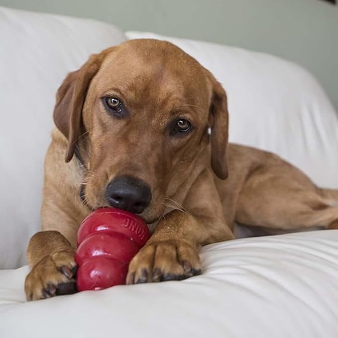 KONG Classic Dog Toy Small Peanut Butter Snacks Dog Treats 7 oz – Durable Chew Toy & Natural Treats Combo Bundle for Small Dogs