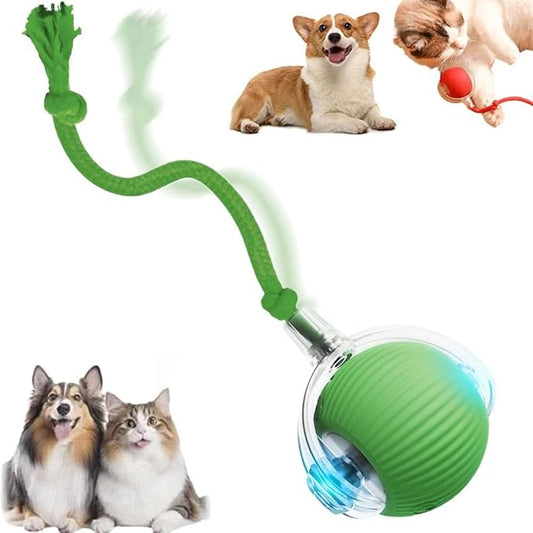 Interactive Cat Toy, 2026 New Cat Toy for Indoor Cats, Intelligent Rolling Ball Toys, Kitten Toys for Bored Indoor Cats/Dogs (Green)