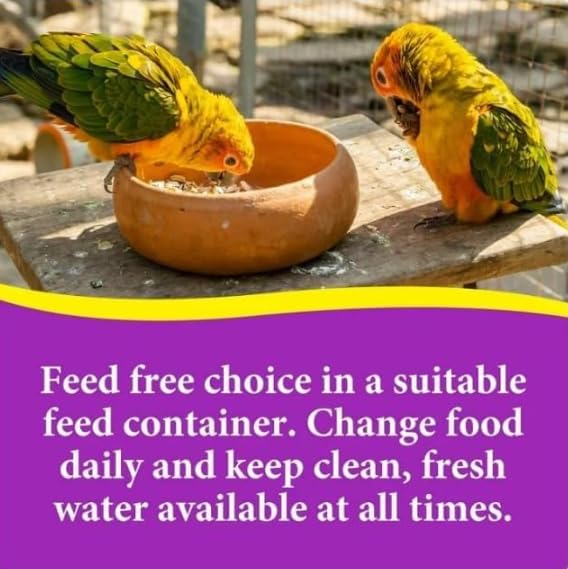 3-D Pet Products Premium Cockatiel Mix Bird Food Seeds, with Probiotics ~ 9 Lb Bag ~ 1 Pack.