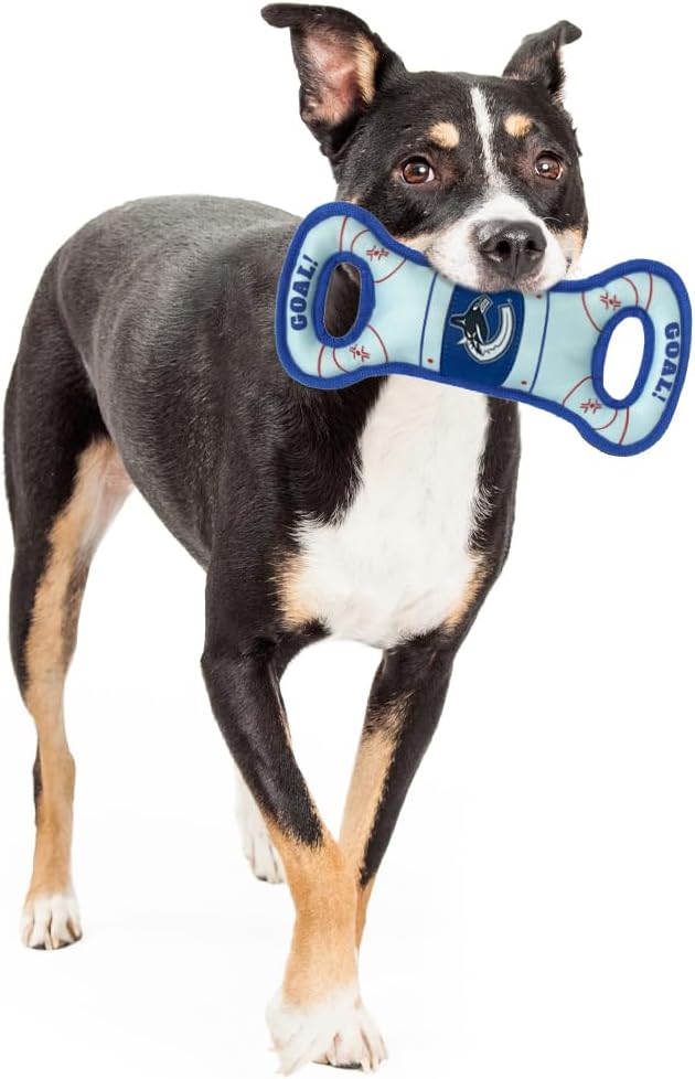 Pets First NHL Vancouver Canucks Hockey Field Dog Tug Fetch Squeak Chew Toy, One Size
