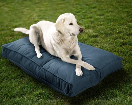 Sunbrella Double-Sided Dog Bed for Indoor/Outdoor Use, Easy Clean & Machine Washable Cover, Chew-Proof, Multipurpose Pet Mat for Dogs & Cats, Extra Large (54”x42”x5), Polyester, Eggshell