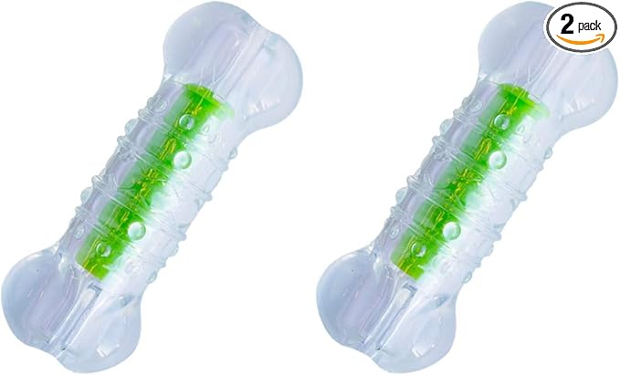 Petstages Crunchcore Bone Water Bottle Alternative Dog Chew Toy, Medium (Pack of 2)