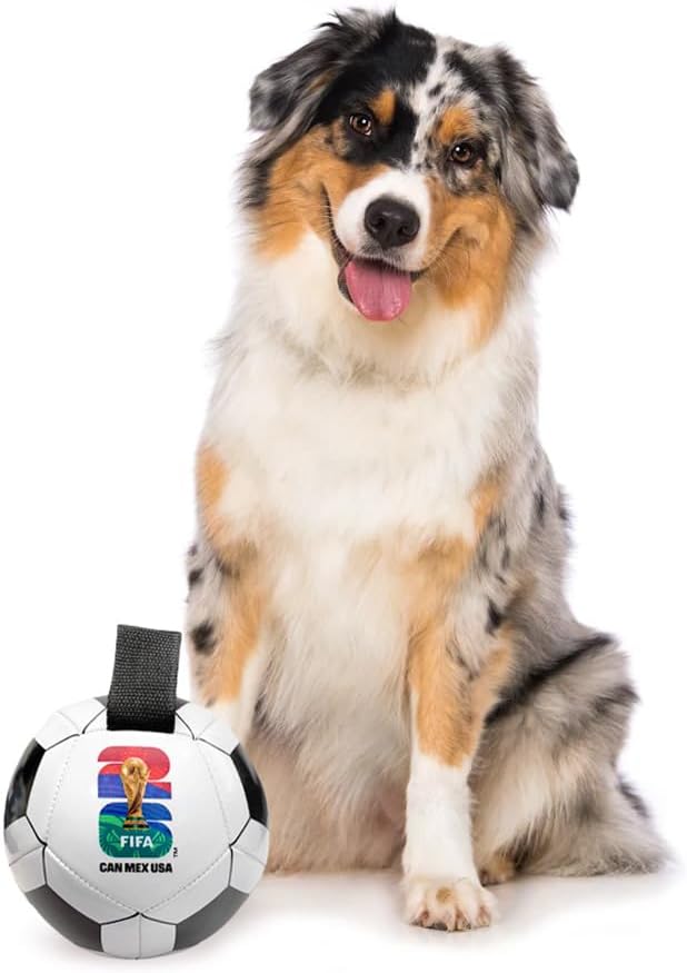 Littlearth Pet Soccer Ball Toy – Officially Licensed FIFA World Cup 2026