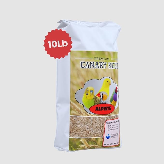 Alpiste Canary Seed 10Lb Bag – Natural Bird Food for Canaries and Small Birds, Finch Food Supports Breeding Growth Digestion Healthy Plumage Bone Strength & Eggshell Formation