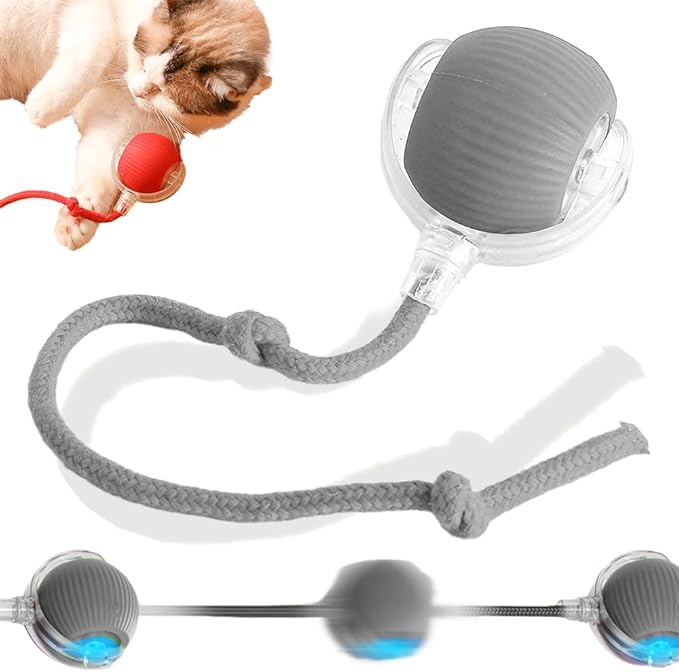 2025 New Interactive Rolling Dog Ball, Self Rolling Dog Ball Interactive Cat Toys Automatic Cat Toy Self Moving Dog Toys, 360° Smart Automatic Rolling Ball Toy Electric Dog Balls for Dog/Cat (Gray)