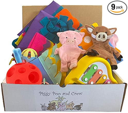 Piggy Poo and Crew Pig Box - Pet Box - Bundle of Toys Gift Box