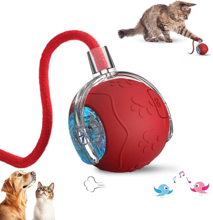 Interactive Cat Toys Ball for Indoor Cats, 2025 New Cat Toy, Automatic Moving Cat/Dog Balls, Electric Rolling Ball Toy for Bored Indoor Adult Cats,Dogs (Red)
