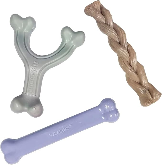 Nylabone Ocean Chew Toy Collection