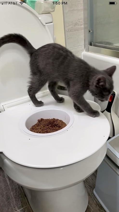Kitty's Loo™ - Superior Cat Toilet Training Kit - The Original Cat Training Seat - Patented - USA Made - Durable Portable