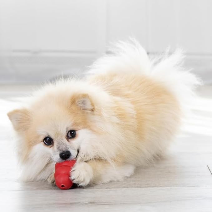 KONG Classic Dog Toy Enhanced Ziggies Dental Treats – Durable Rubber Chew Toy & Teeth Cleaning Stuffable Treats Bundle (Small)