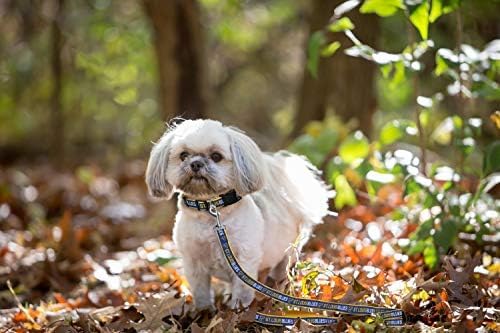 Pets First NHL ST.Louis Blues Leash for Dogs & Cats, Large. - Walk Cute & Stylish! The Ultimate Hockey Fan Leash!, 6 ft Long x 1 in Width, BLU-3031-LG