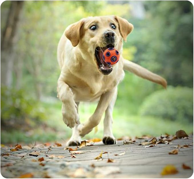 WishLotus Dog Ball Toy, Dog Interactive Toy with Ring Bell Squeak Toys Dogs Rubber Bouncy Balls Pet Exercise Game Puzzle Balls to Increase IQ Search & Catch Bite Resistant Chewing Toy
