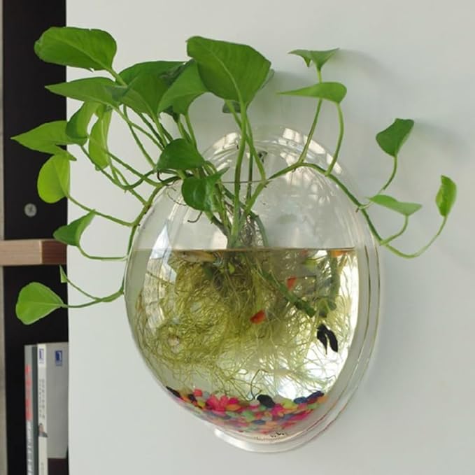 SEWACC Wall Mounted Acrylic Fish Tank 17cm Hanging Aquarium Bowl for Home Decor with Nail Installation, Suitable for Betta and Small Aquatic Pets Random Color