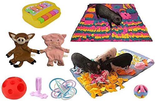 Piggy Poo and Crew Pig Box - Pet Box - Bundle of Toys Gift Box for Dogs, Pigs, Rabbits, & Small Pets