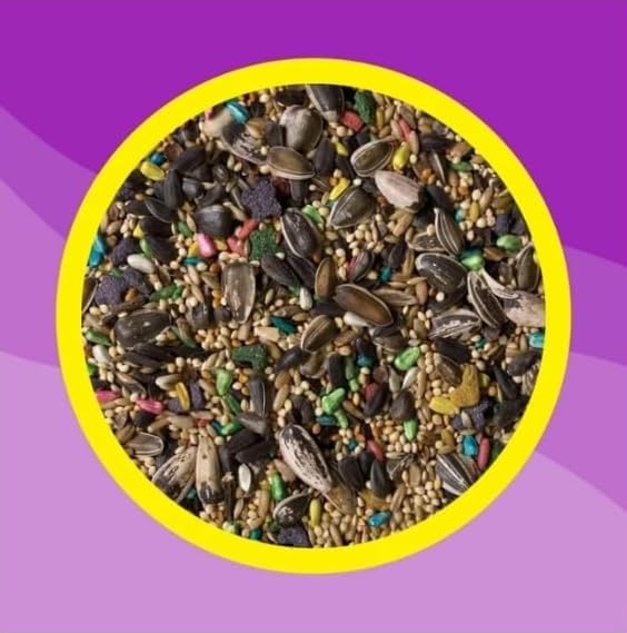 3-D Pet Products Premium Cockatiel Mix Bird Food Seeds, with Probiotics ~ 9 Lb Bag ~ 1 Pack.