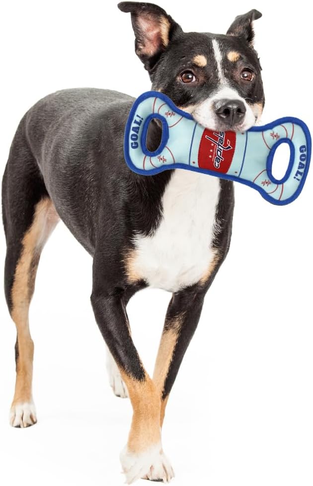 Pets First NHL Washington Capitals Hockey Field Dog Tug Fetch Squeak Chew Toy, Team Color, one Size (CAP-3030)