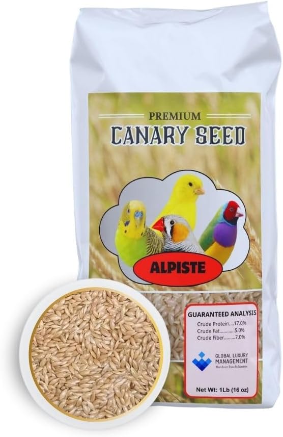 Alpiste Canary Seed 1Lb Bag – Natural Bird Food for Canaries and Small Birds, Finch Food Supports Breeding Growth Digestion Healthy Plumage Bone Strength & Eggshell Formation