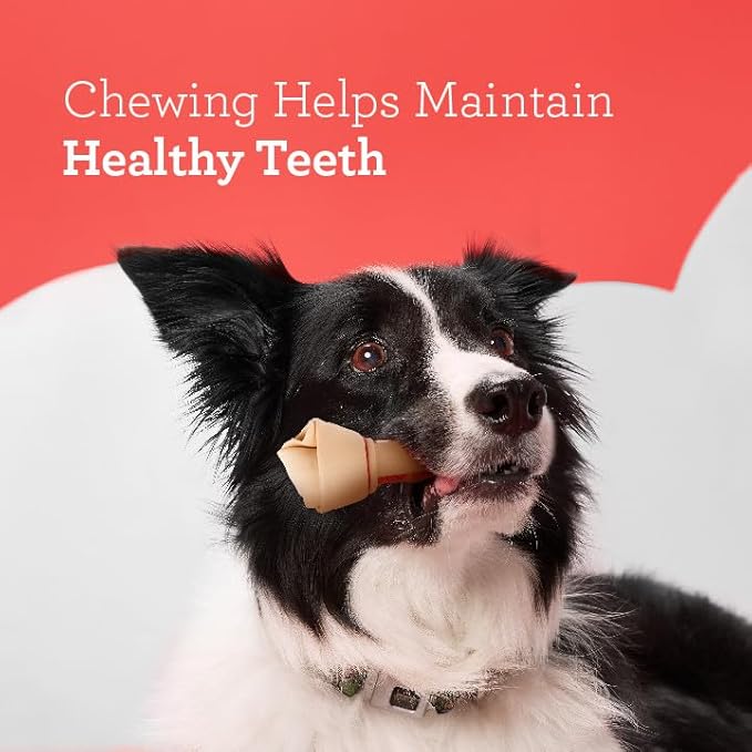DreamBone Large Chews With Real Chicken, Rawhide-Free Chews For Dogs, Treat Your Dog to a Rawhide Free Chew, 3 Count