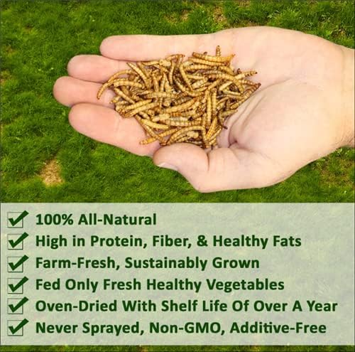 Dried Mealworms - 100% Natural, Non-GMO, High Protein, Bulk Insect Treat for Chicken, Laying Hen, Chick, Wild Bird, Bluebird, Duck, Goose, Turkey, Chickadee, Titmice, Wren, Reptile, Fish (88 lb.)