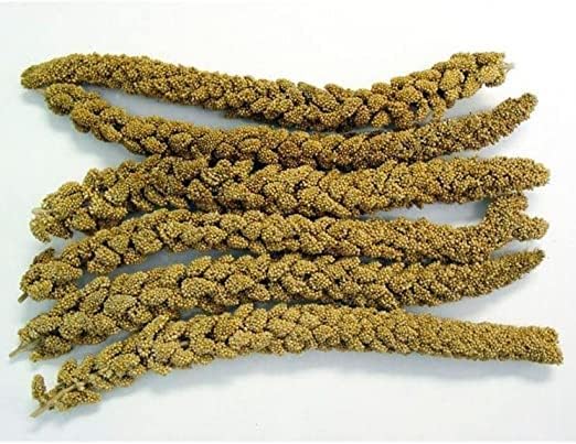 CountryMax HG9M Spray Millet Natural Treat Food Non-GMO Pesticide Free for Parrots, Parakeets, Finches, Lovebirds (1 Pound)