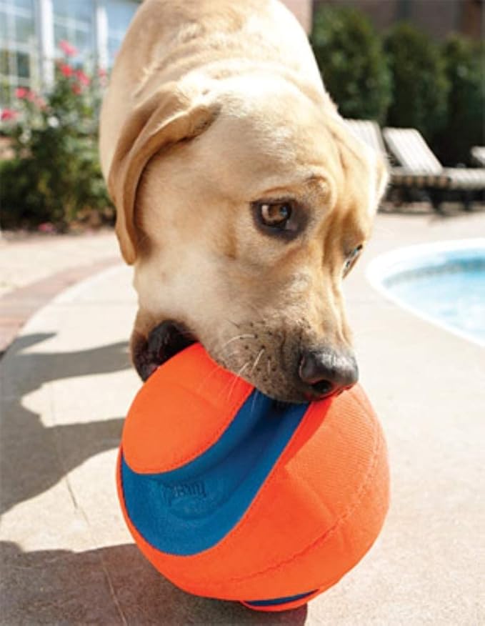 Chuckit! Kick Fetch Ball Small Ball - 5.5" Diametger (1 Pack) - Pack of 2