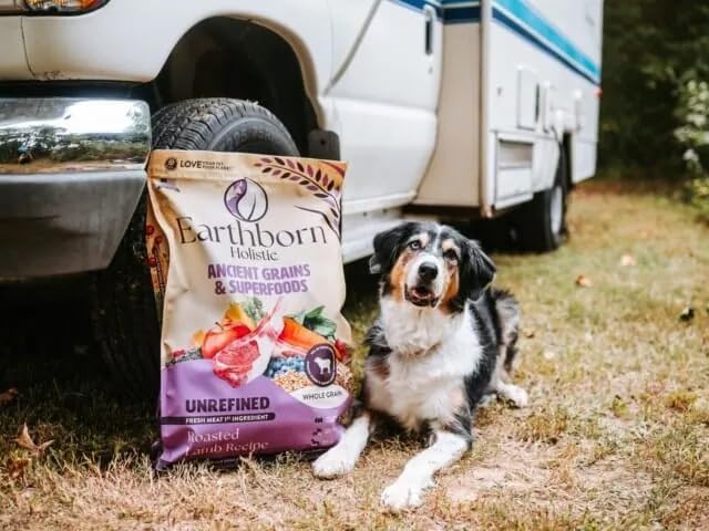 Earthborn Holistic Unrefined Roasted Lamb Dry Dog Food, Ancient Grains & Superfoods, Pea-Free Recipe, 25 lb Bag