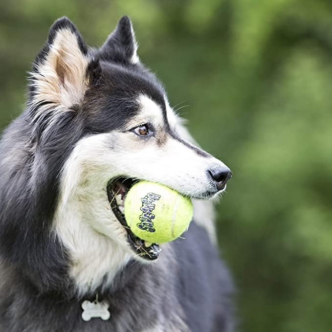 KONG Air Squeakers Tennis Balls X-Small - 1.5" Diameter (3 Pack) - Pack of 4