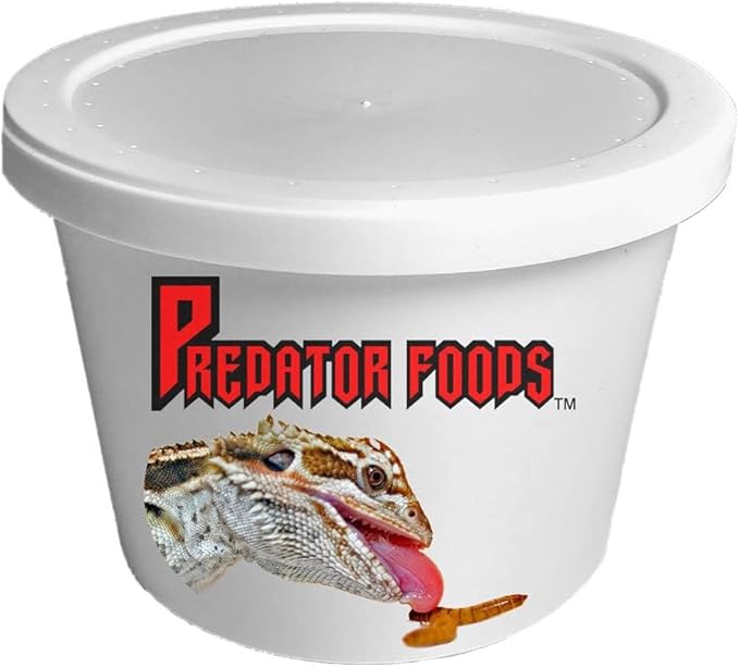 Predator Foods Bulk Super Worms - Large (1.5-1.75 in) - 100 Count