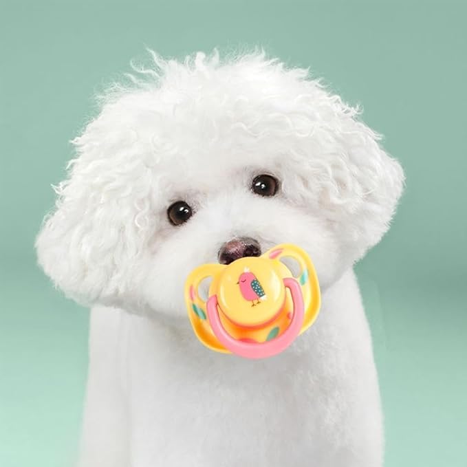 Pet Silicone Calming Pacifier, Dog Pacifiers for Small Dogs, Kitten Pacifiers, Puppy Teething Toys and Cat Chew Toys, Essential Pet Supplies, Puppy Essentials and Kitten Supplies, Chew Toys (Chicks)