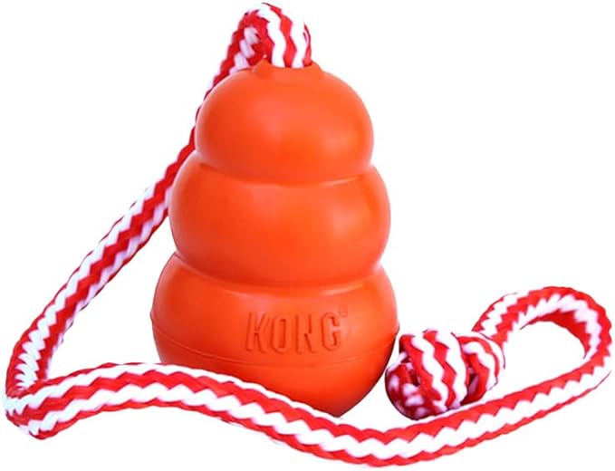 KONG Aqua Classic Dog Toy 2-Pack – Floating Retrieval Toy for Water Play - with Rope (Medium)