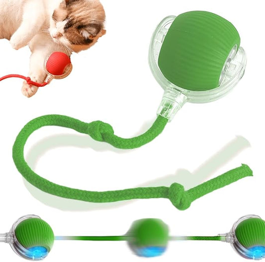 2025 New Interactive Rolling Dog Ball - Self-Moving Automatic Cat Toy, 360 Smart Electric Ball for Dogs/Cats (Green)