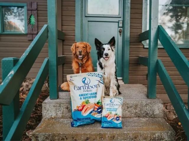 Earthborn Holistic Unrefined Smoked Salmon Ancient Grains & Superfoods All Life Stages Dry Dog Food, Pea-Free Recipe with Quinoa, Pumpkin & Flaxseed, 25 lb Bag