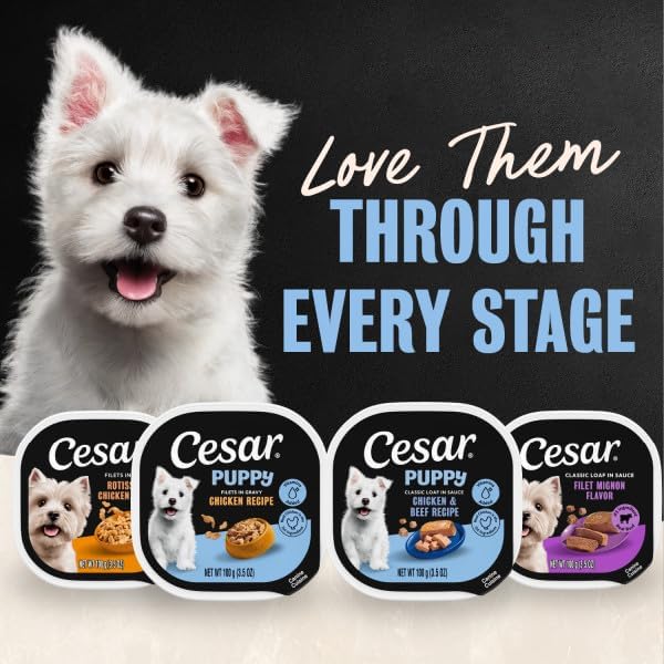 Cesar Puppy Filets in Gravy Wet Dog Food, Chicken Recipe, 3.5 oz. Easy Peel Trays, Dog Food Toppers, 24 Count