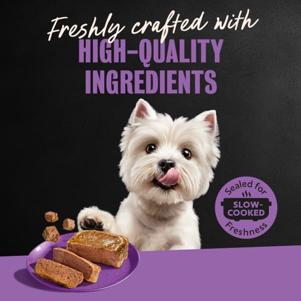 Cesar Wet Dog Food Classic Loaf in Sauce Grilled Chicken, Filet Mignon, Porterhouse Steak, Beef, Chicken & Liver and Turkey Variety Pack 3.5 oz. Easy Peel Trays (36 Count, Pack of 1)