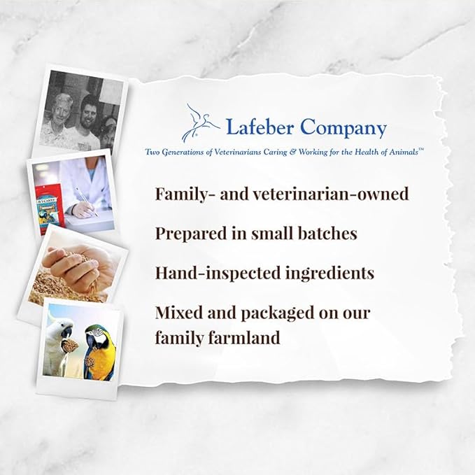 LAFEBER'S Classic Avi-Cakes Pet Bird Food, Made with Non-GMO and Human-Grade Ingredients, for Macaws & Cockatoos (1 Ib Pack of 2)