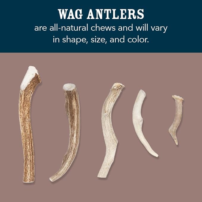 WAG Split Elk Antler, Medium, for Dogs | Naturally Shed | 15-30 lbs | Pack of 4