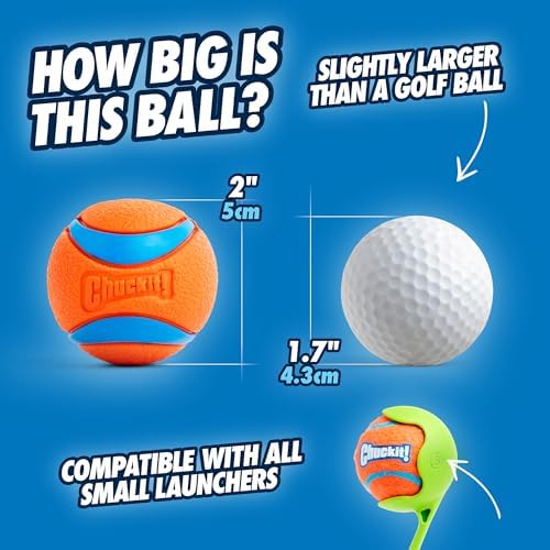 Chuckit! Ultra Ball Dog Toy, Balls for Dogs to Fetch, Durable Rubber, Small 2-inch, Pack of 24