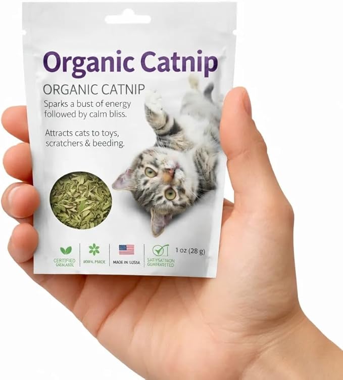 Organic Catnip for Cats USDA Certified Dried Herb Made in USA - 3 oz Total Premium Natural Cat Treats Strong Fresh Loose Leaf Catnip Herbs Resealable Bag Best Single Ingredient Cat Nip Buds Bulk
