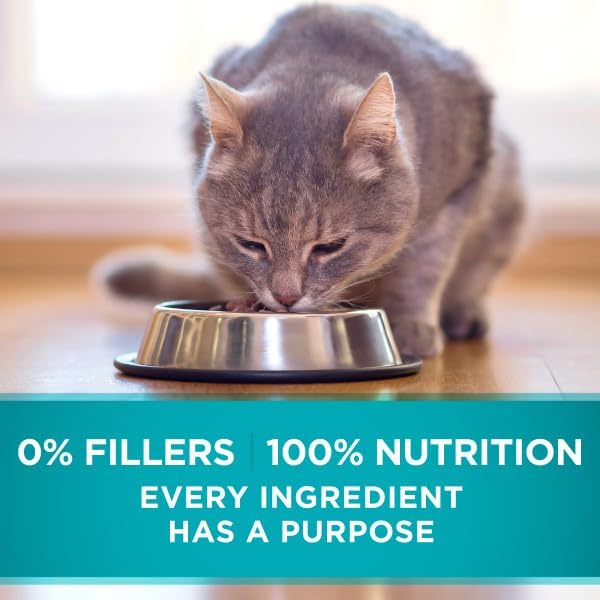 Purina ONE Indoor, Natural, High Protein Pate Wet Cat Food, Indoor Advantage Ocean Whitefish & Rice - (24) 3 oz. Pull-Top Cans