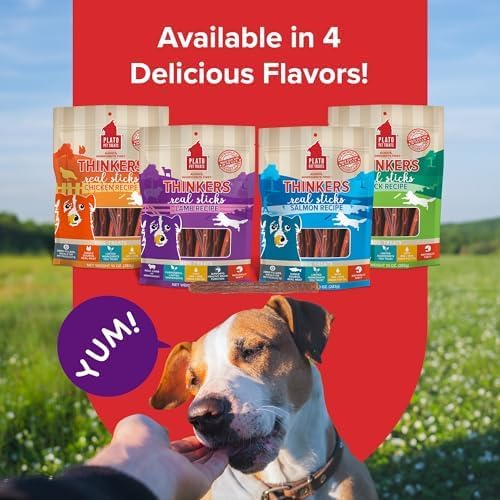 PLATO Pet Treats Thinkers - Meat Stick Treats for Dogs - Limited Ingredient Dog Treats with EPA and DHA to Support Skin, Coat, and Brain - Air-Dried Dog Treats - Thinkers Lamb 10oz - 2 Pack
