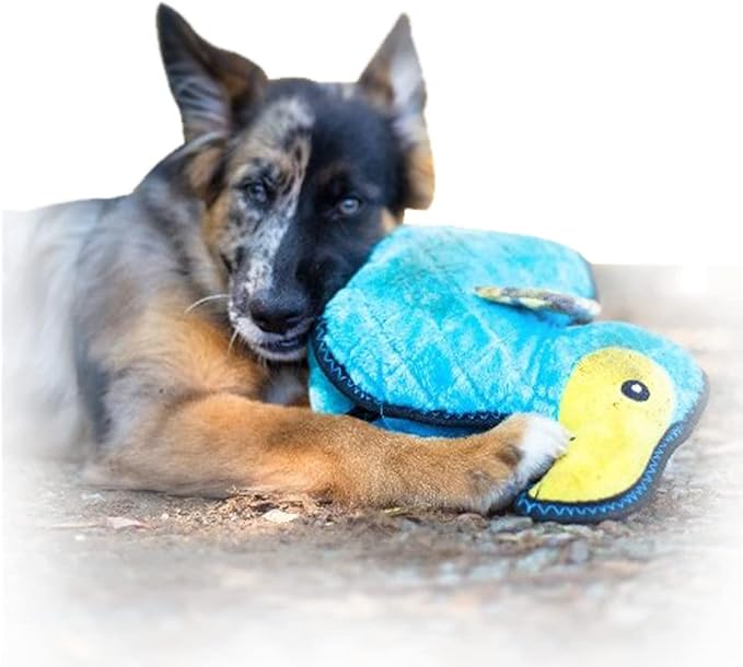 Zippy Paws - Z-Stitch Grunterz Durable Stuffed Squeaky Dog Toy - Dodo the Dodo Bird