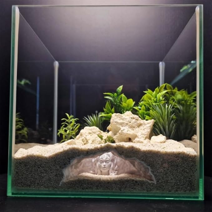 Resin Medusa Head Aquarium Ornament – Aquarium-Safe Fish Tank Decor, Hideaway Cave for Aquatic Pets to Breed, Play and Rest, Unique Gorgon Decorative Stone for Betta and Small Fish (Large)