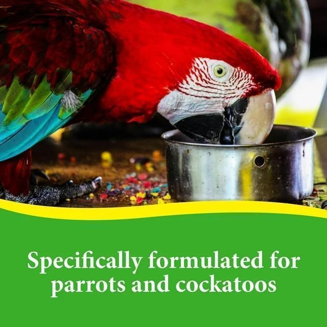 Pet Products Premium Parrot Bird Food Seeds with Probiotics, Natural Dry Bird Food Mix for Parrots, Macaws, Cockatoos, African Greys, and Conures, 8 lb Bag