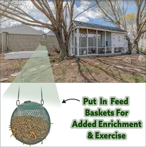 Dried Mealworms - 100% Natural, Non-GMO, High Protein, Bulk Insect Treat for Chicken, Laying Hen, Chick, Wild Bird, Bluebird, Duck, Goose, Turkey, Chickadee, Titmice, Wren, Reptile, Fish (1 lb.)