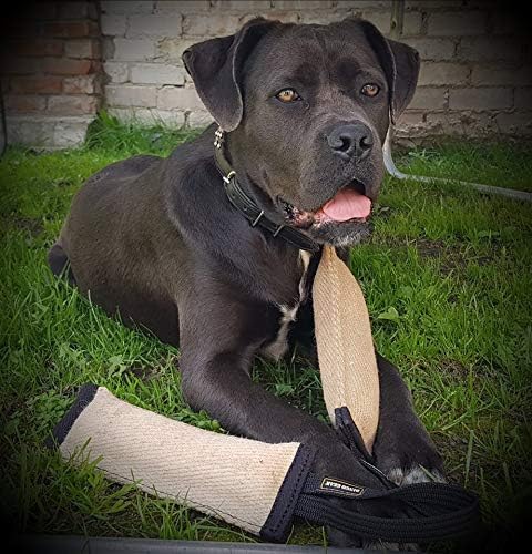 Dingo Gear Tug Toy for Dog Training Agility Tug of War, Jute Dog Bumper with one Handle, Dog Bite Pillow for Aggressive Chewers, 6" S00143