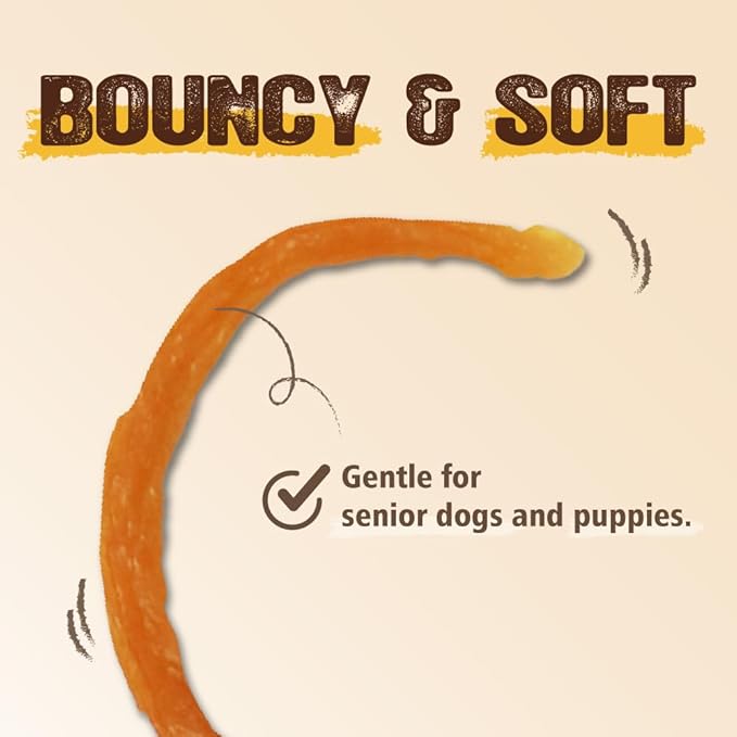 Gootoe Soft Turkey Tendon Strip 1 lb, Natural Chewy Snack, USA-Sourced Turkey Tendon, Premium Training Chew, Hypoallergenic, Ideal for Small& Senior Dog, Jumbo Pack