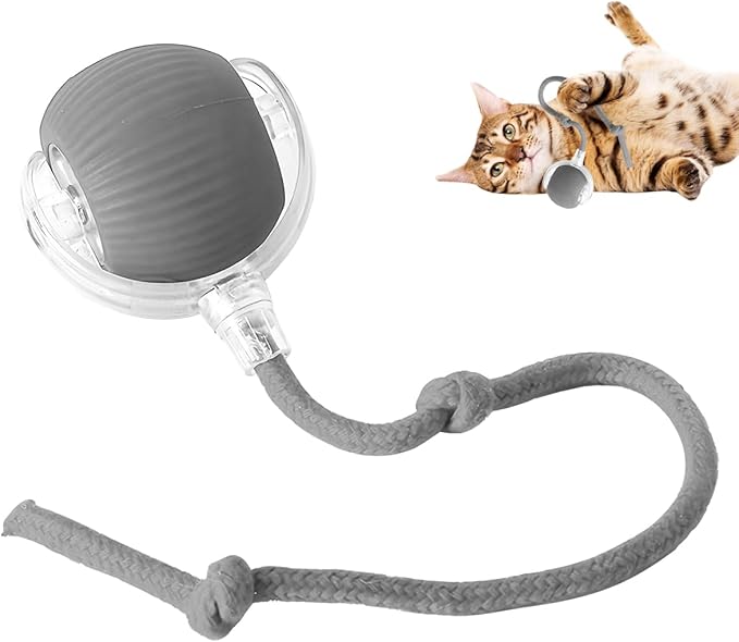 Interactive Cat Toy Ball for Indoor Cats - 2024 New Self-Rolling Automatic Smart 360 Electric Dog Ball - Fast Rolling on Carpet for Cats and Dogs (Grey)